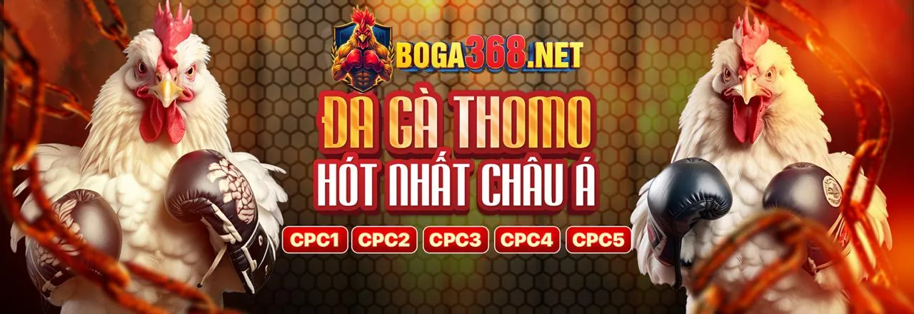 Lợi ích khi chơi đá gà tại Hay88